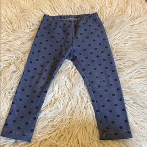 Toddler girl Jeggings